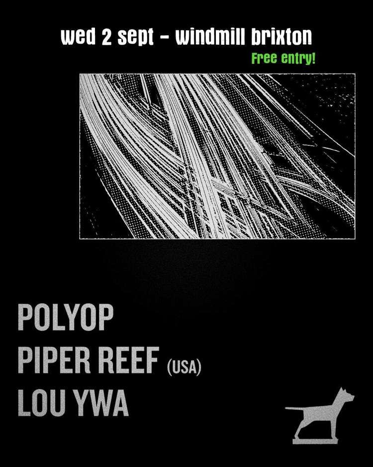 Polyop. Piper Reef, Lou YWA  at Windmill Brixton promotional image