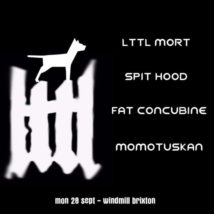 Lttl Mort, Spit Hood, Fat Concubine, Momotuskan at Windmill Brixton promotional image