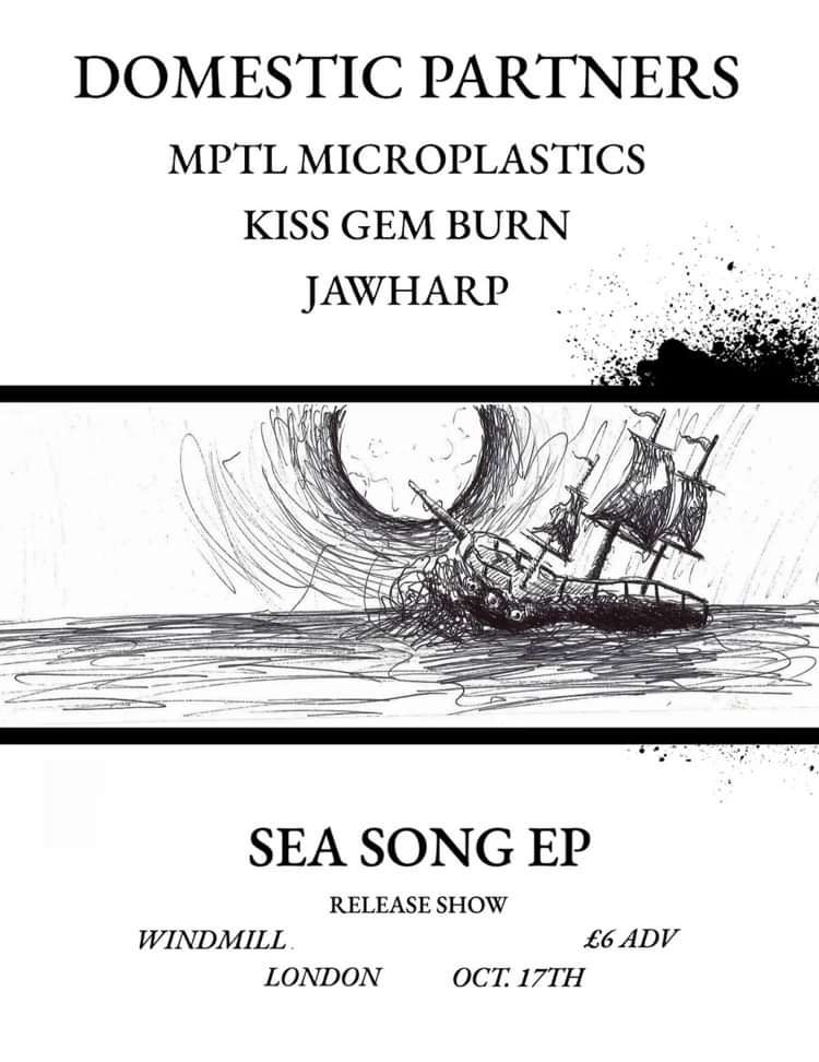 Domestic Partners, MPTL Microplastics, Kiss Gem Burn, Jawharp at Windmill Brixton promotional image