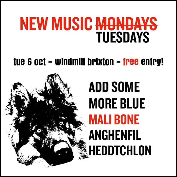New Music Tuesday - addsomemoreblue, anghenfil_heddychlon  at Windmill Brixton promotional image