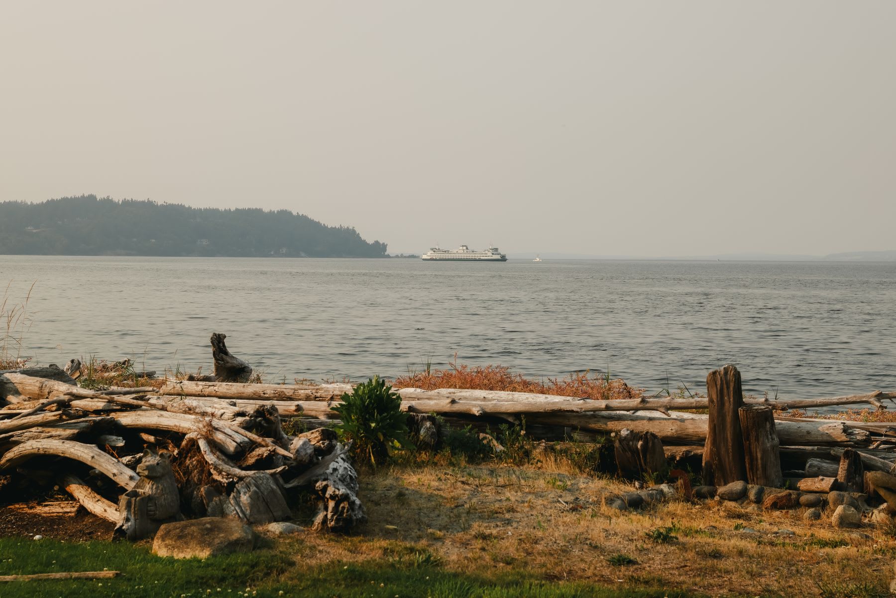 A ferry boat travels across the calm water on a hazy day, as seen from a shoreline covered in weathered driftwood.