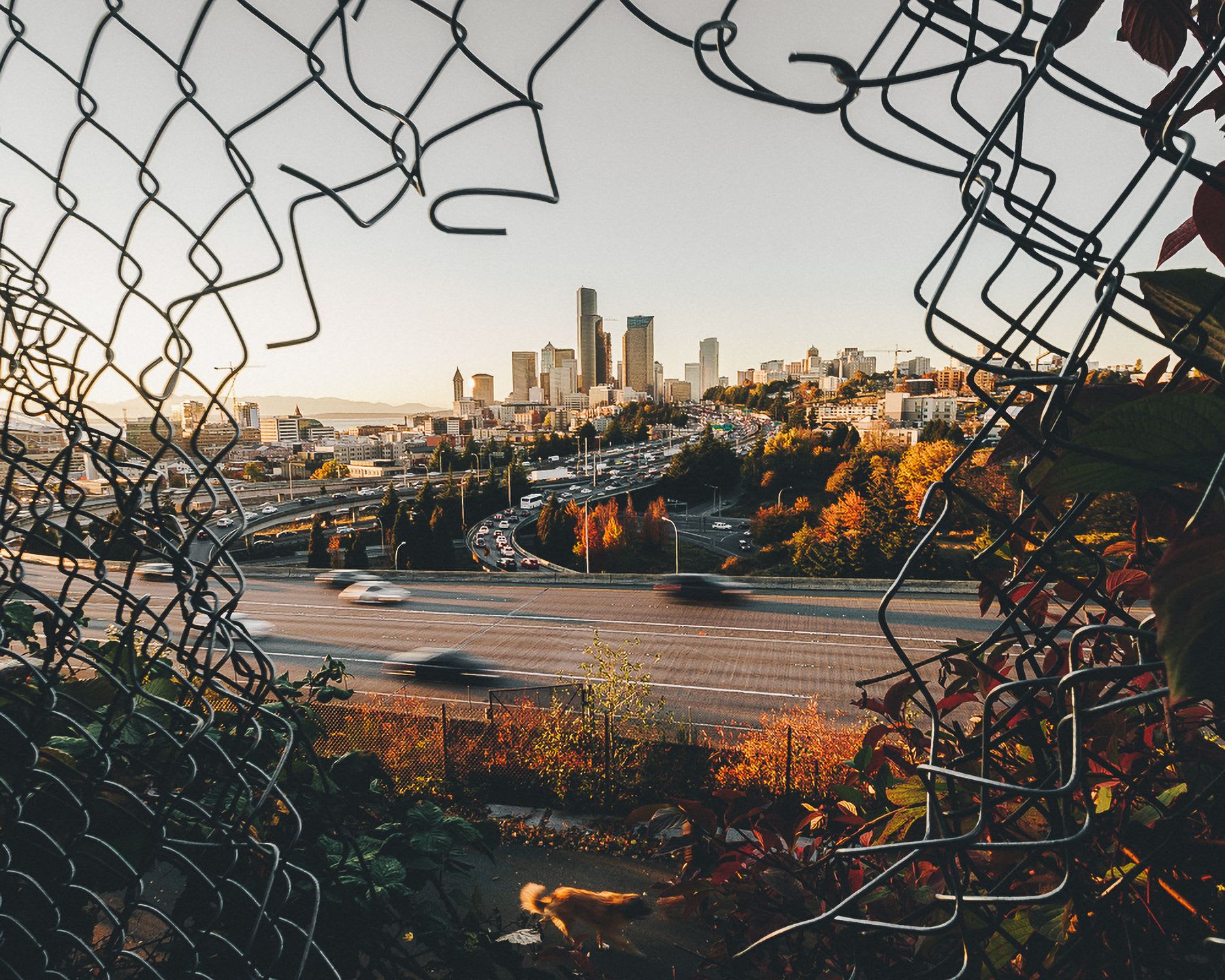 Sunset view of city skyline with buildings silhouetted against an orange sky, seen through a torn chain-link fence, with a freeway and moving cars in the foreground.