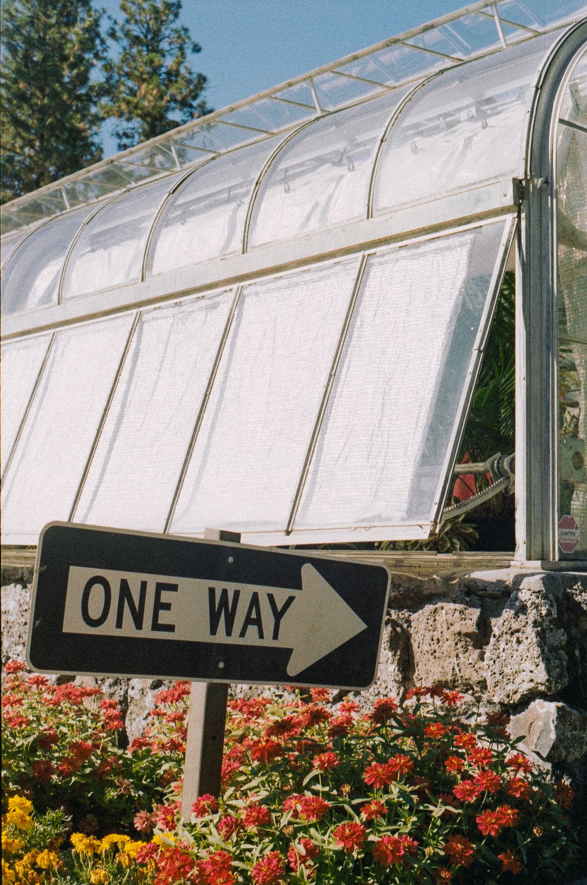 Flowers blooming around a one way sign next to a greenhouse.