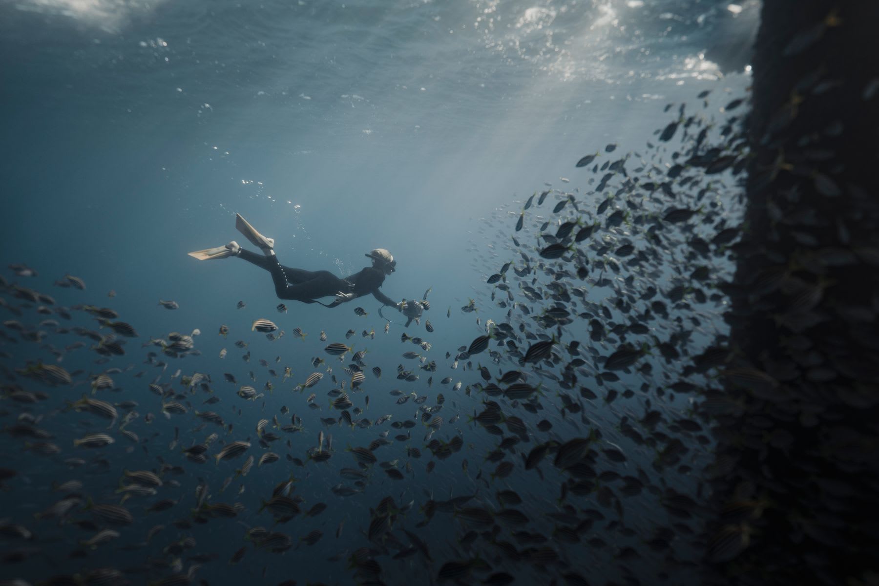 Submerged diver surrounded by small fish in deep water.
