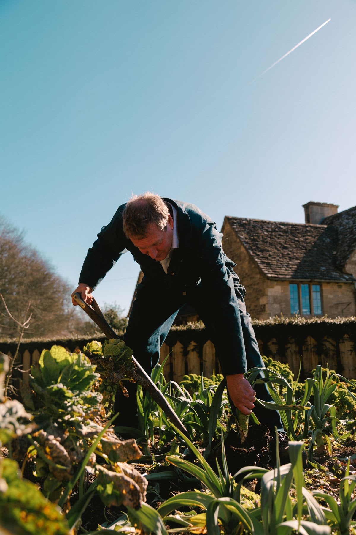 a man harvesting a green onion in a field on a sunny day