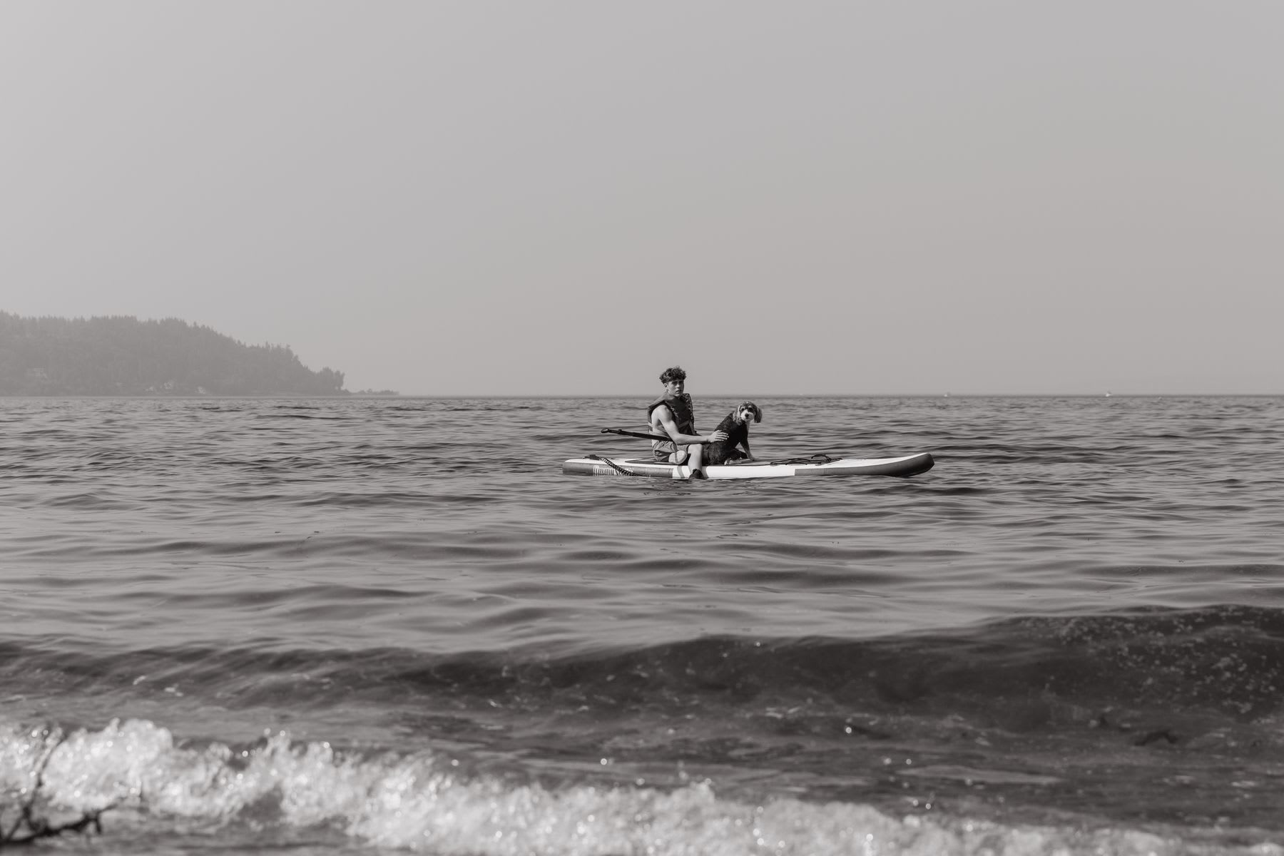 A person and their dog sit together on a stand-up paddleboard on the calm sea in a serene, monochrome scene.