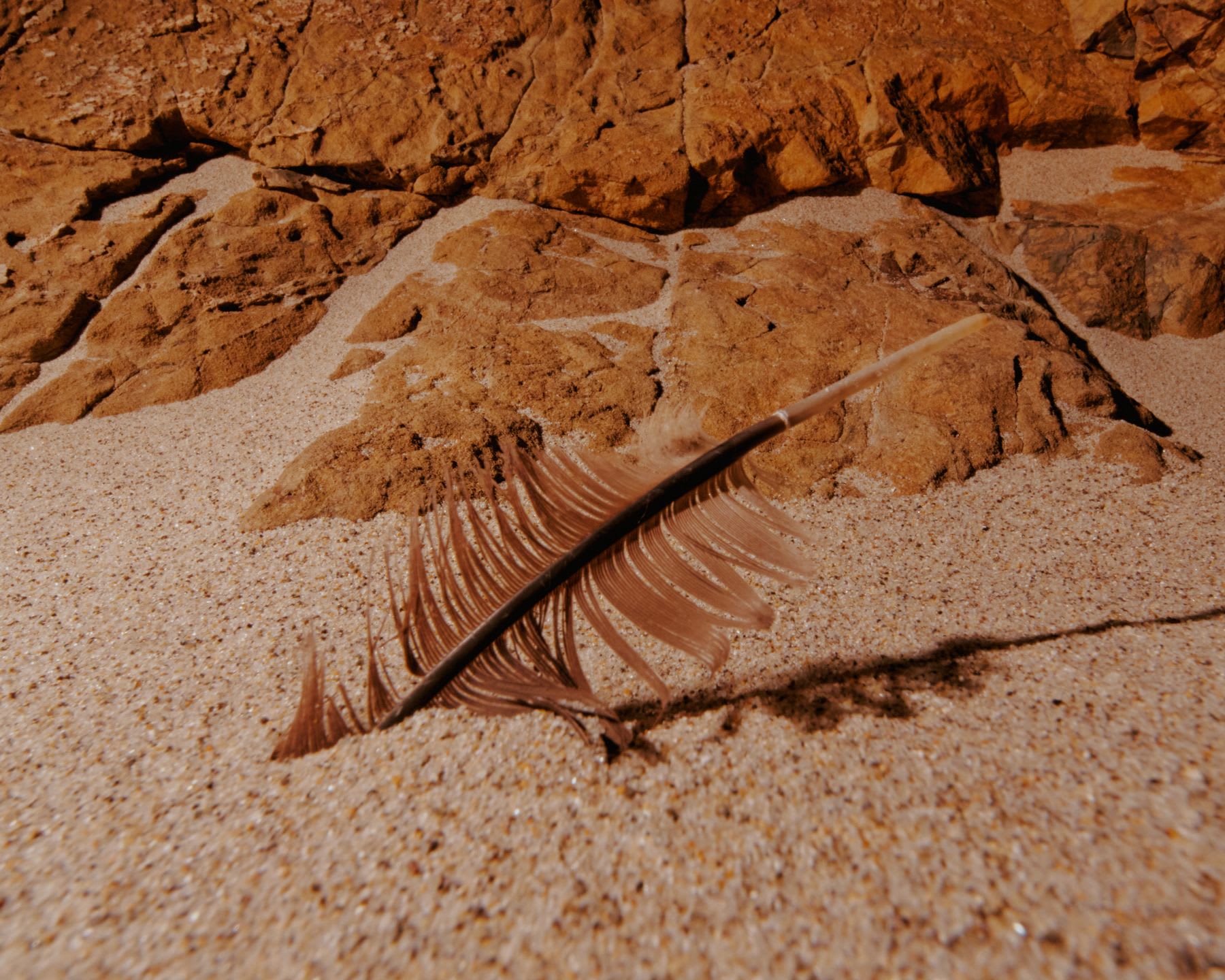 A close-up of a delicate brown feather resting in coarse sand at the base of a rugged rock formation.