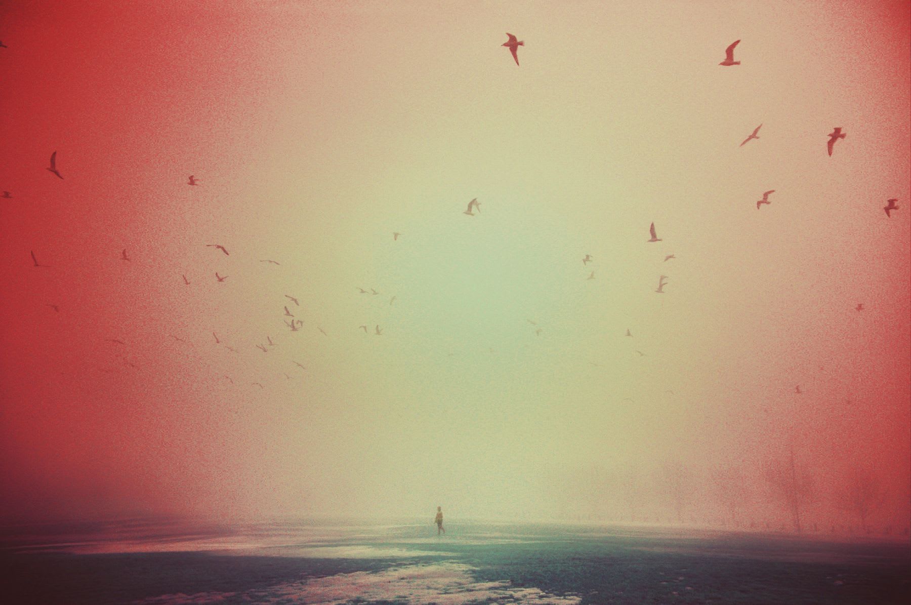 A person stands on a frozen lake, with many birds flying overhead in the air, set against a foggy atmosphere at sundown.
