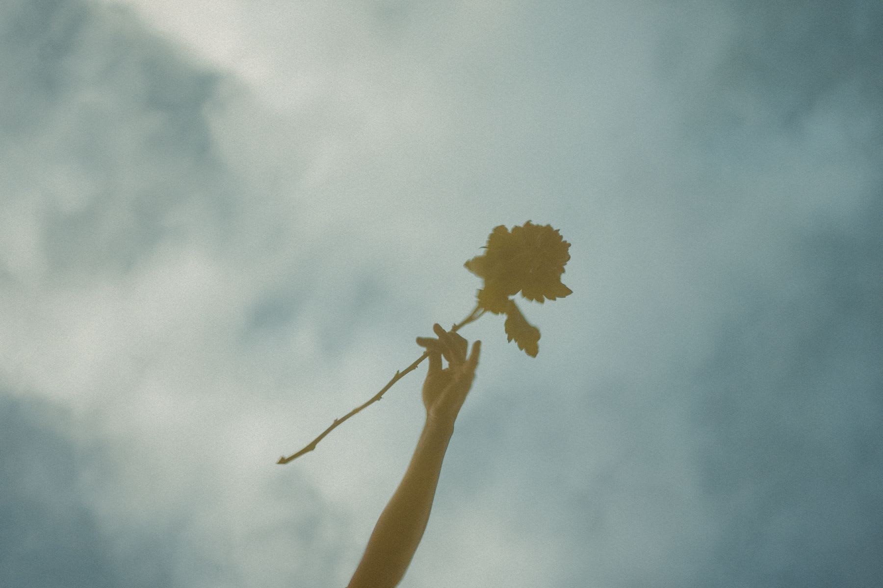 A dreamy reflection of a hand holding a flower against a cloudy sky.