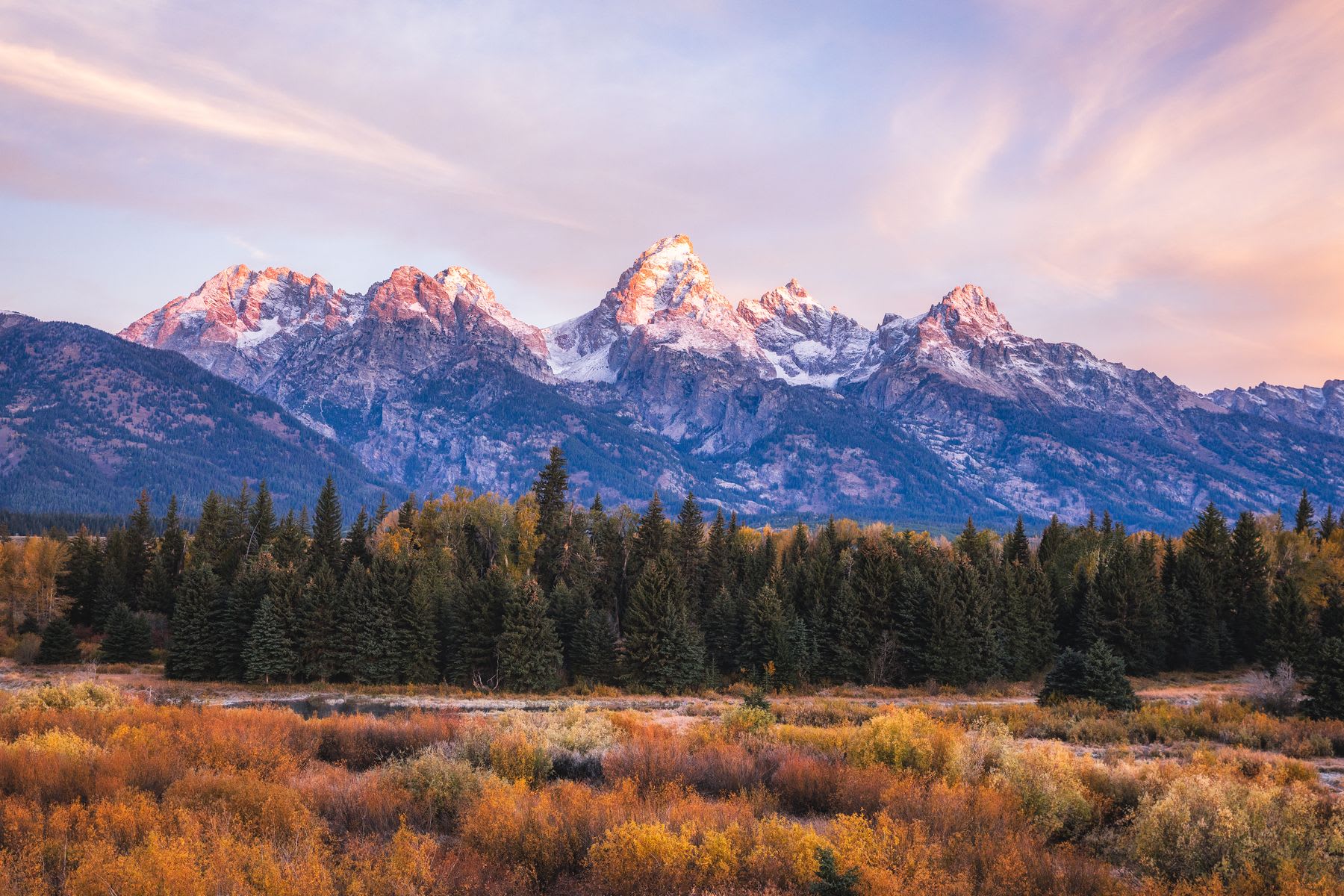 Trees sit in front of the tall mountains.
