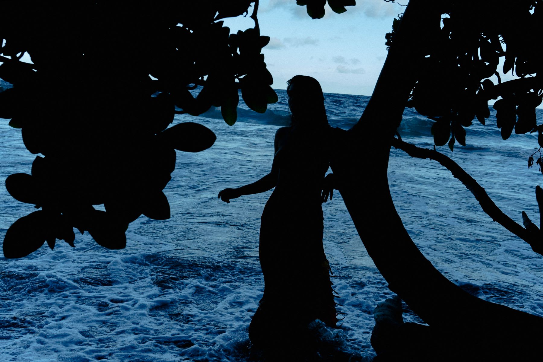 Silhouette of a woman standing by a tree, framed by leaves, against the backdrop of waves crashing on a shoreline.