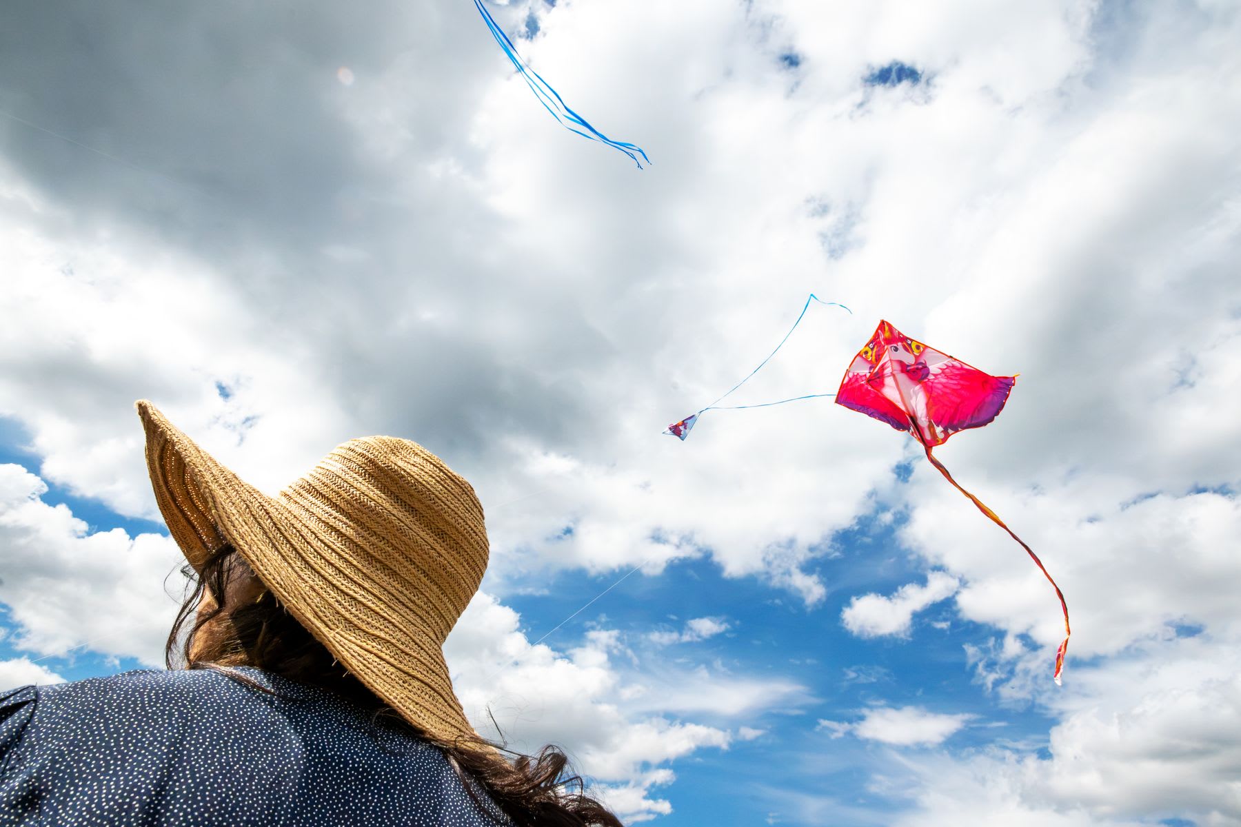 A woman in a floppy straw hat looks up at colorful kites flying in a partly cloudy blue sky.