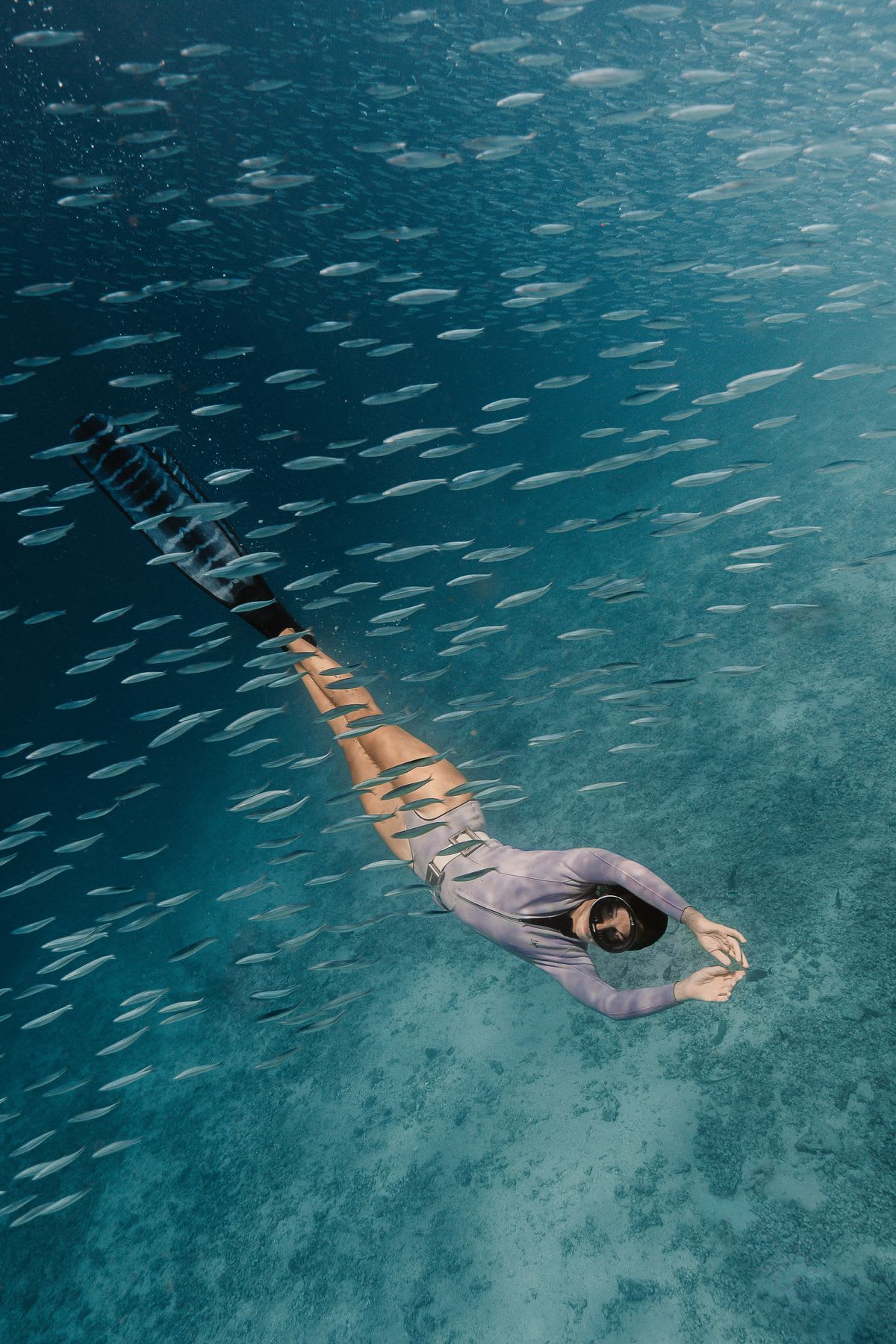 A woman scuba dives near a school of fish just above the ocean floor.