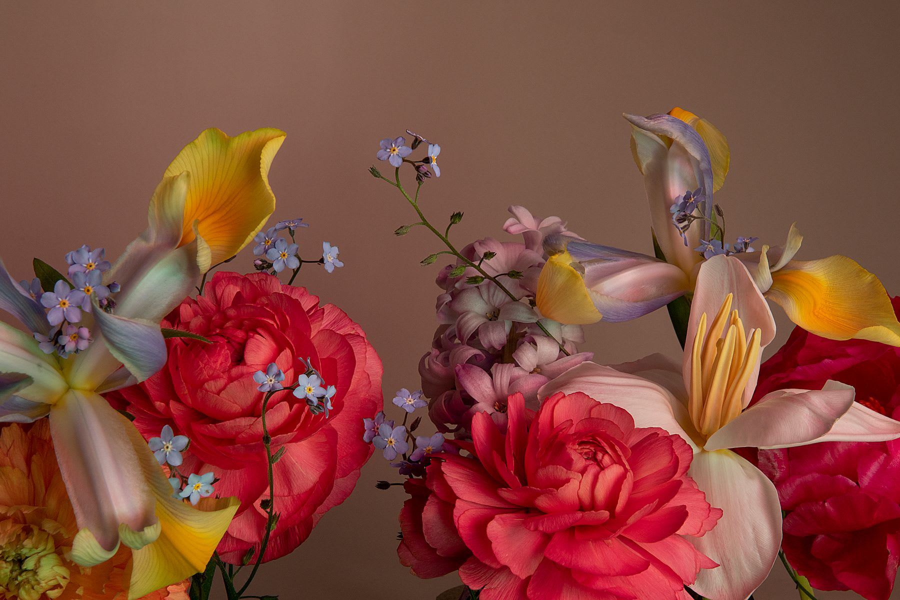 Some flowers in a vase in a room