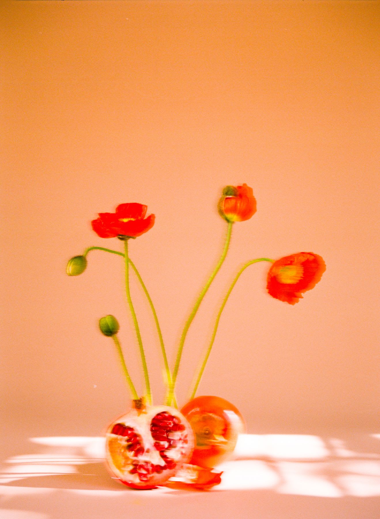 Some flowers sitting on a table in a room.