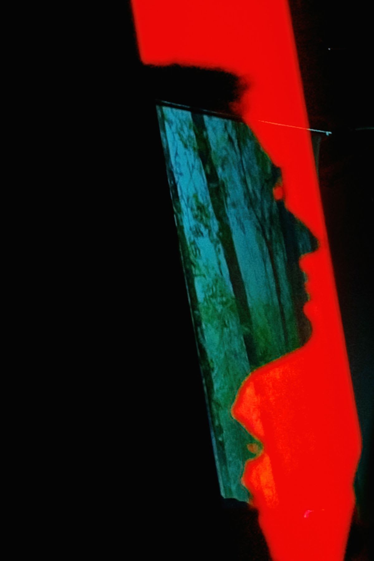A vibrant red silhouette of a person's profile is cast against a dark background, framing a reflection of a dense forest.
