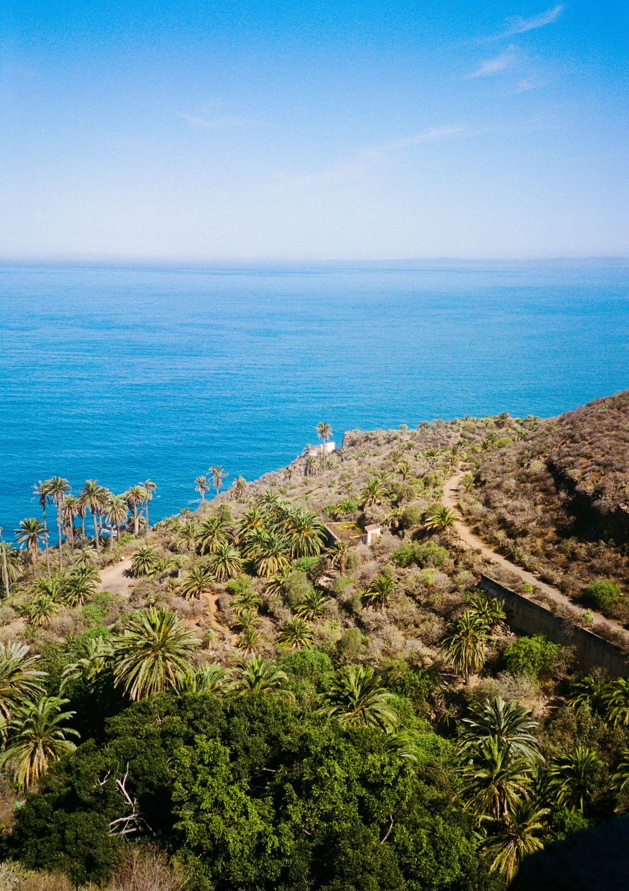 A scenic high-angle view of a rugged coastline dotted with lush palm trees overlooking the deep blue ocean.