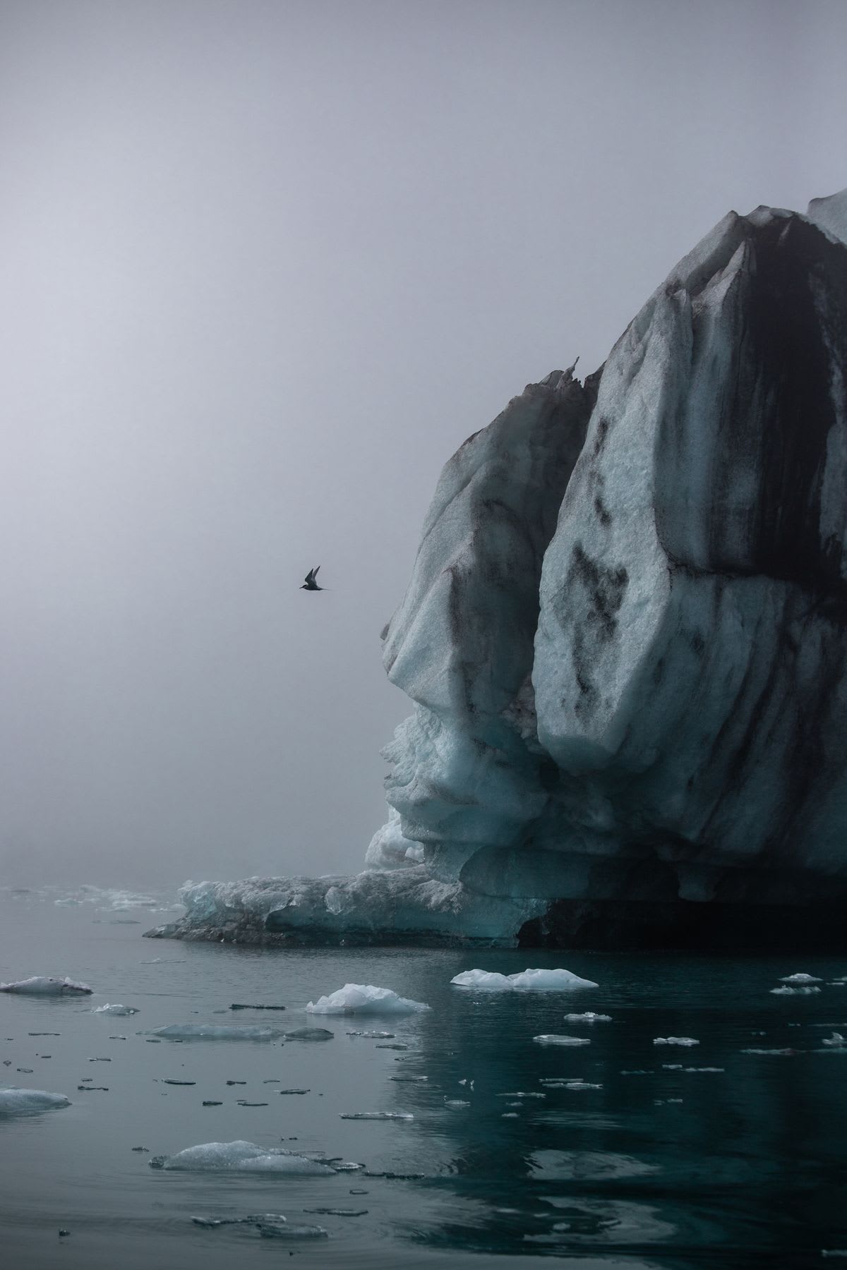 An imposing dark iceberg floats in icy waters under a hazy sky, with a lone bird flying in the background.