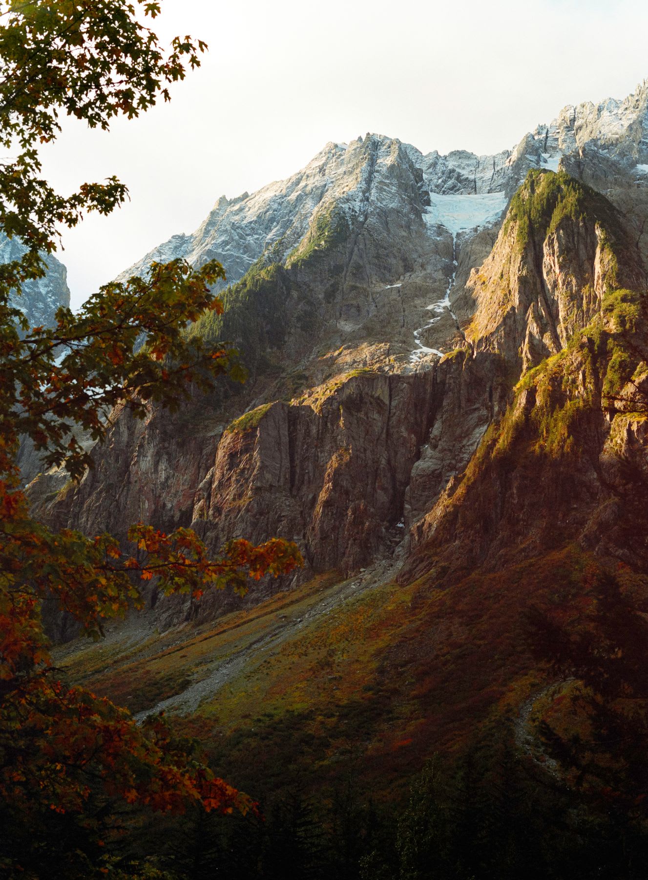 Jagged peaks of distant mountains rise beyond a closer slope of forest and colorful fall foliage, with some snow dusting the higher mountain reaches, all seen under a bright sky.