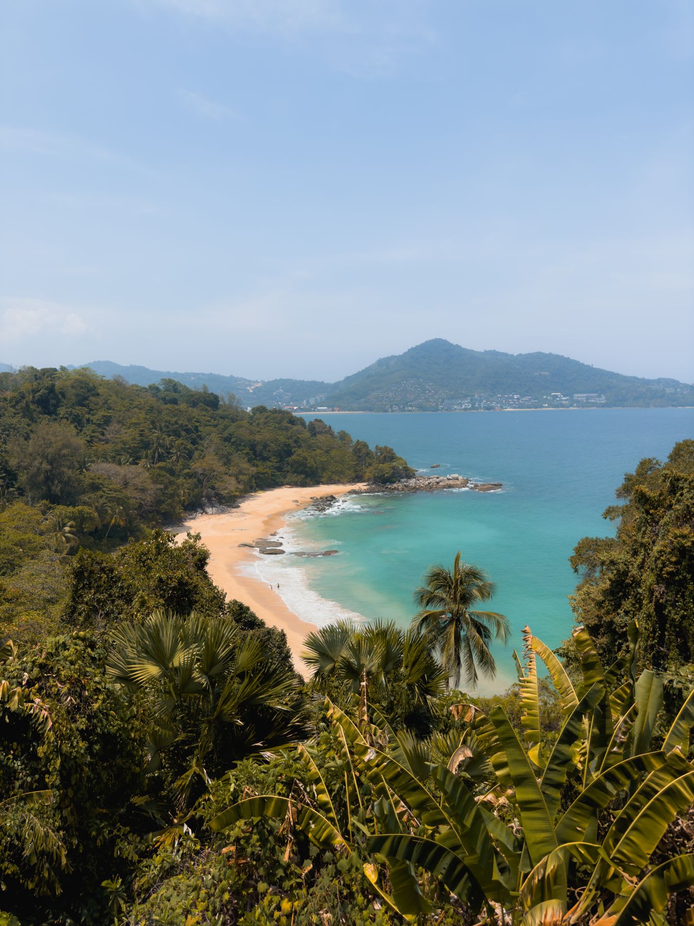 Lush forests and many trees line the beaches of this coastal tropical region.