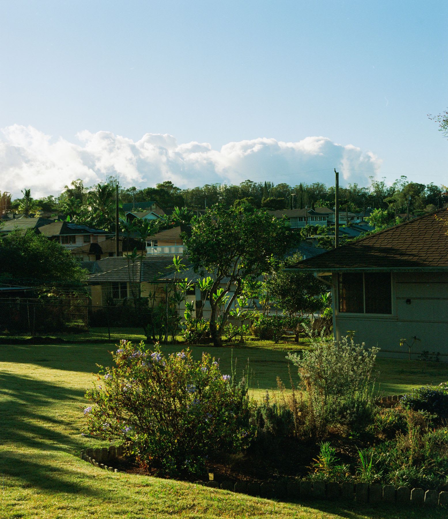 Daytime view of a suburban neighborhood with houses and greenery in the foreground, including trees and bushes, under a clear blue sky with some white clouds in the background.