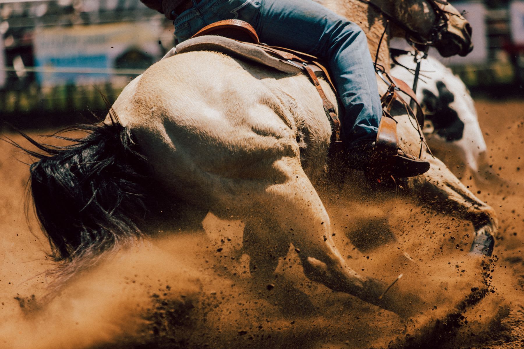 Man riding his horse at the rodeo as it kicks up dirt