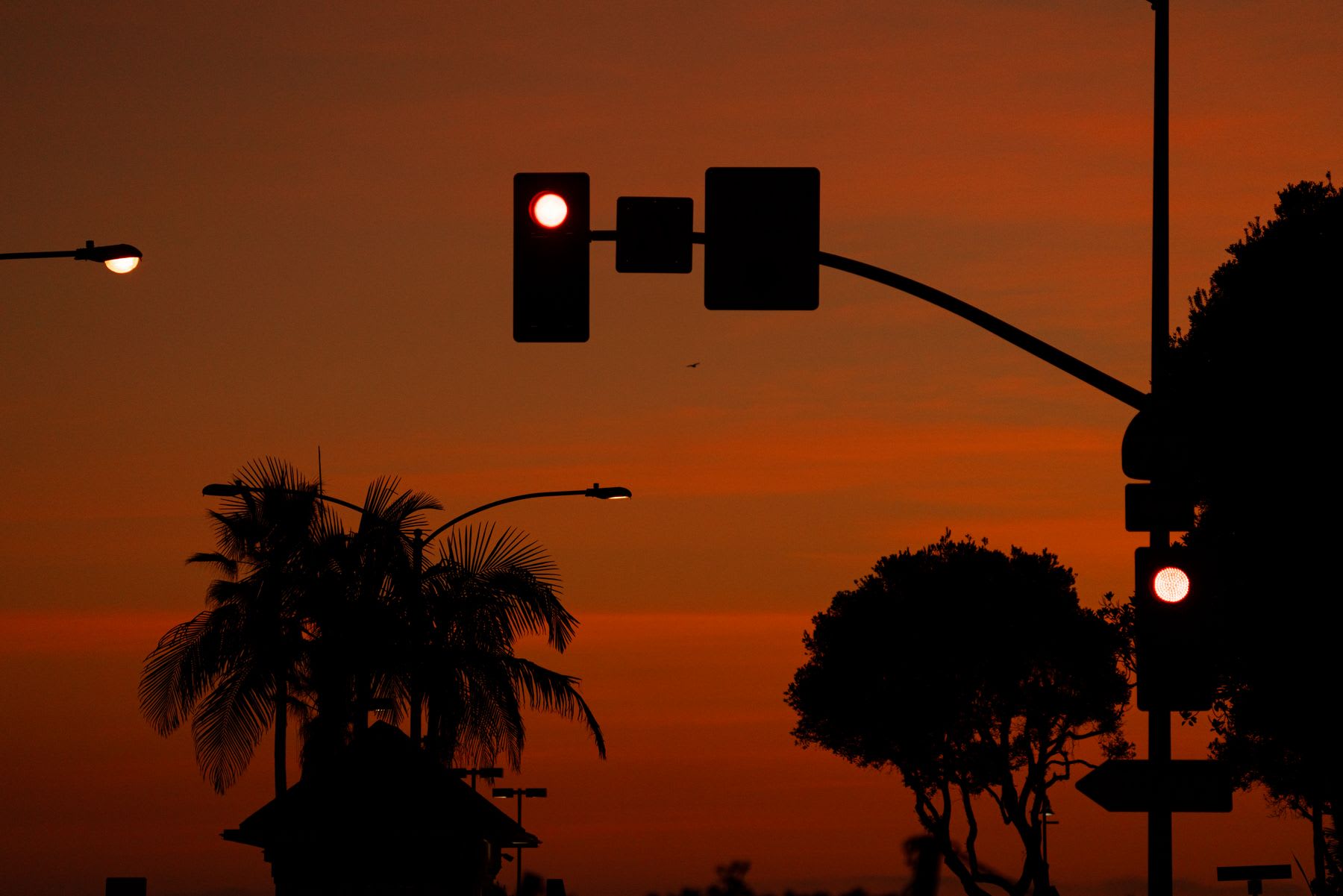 A glowing red traffic light and silhouetted palm trees are set against a vibrant orange sky at dusk.