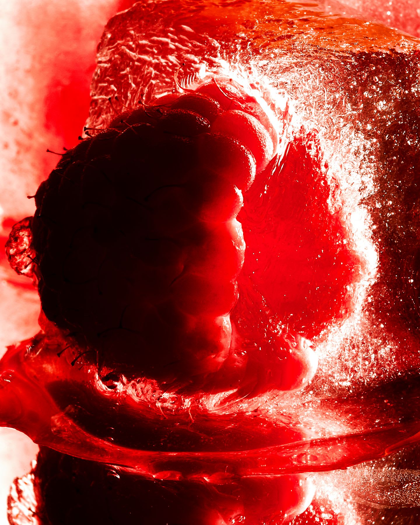 A dramatic close-up of a vibrant red raspberry encased in textured, glistening ice.
