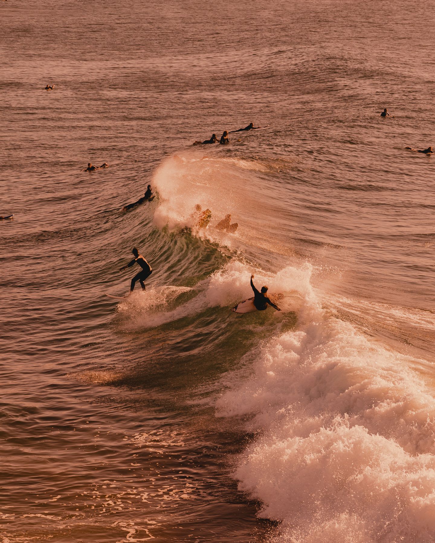 Multiple surfers are in the ocean water while one of them has caught a wave and is surfing atop it.