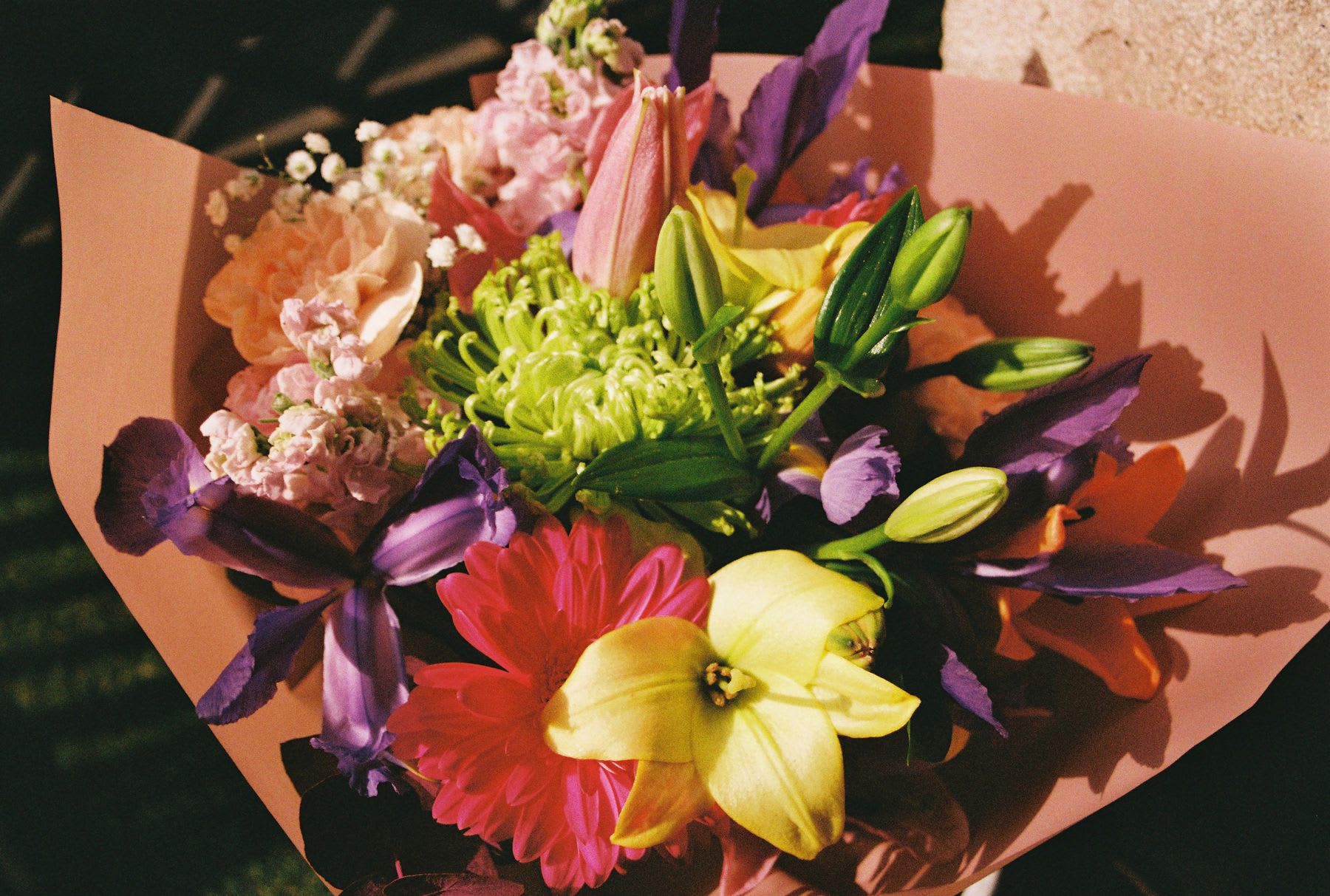A vibrant and colorful bouquet of mixed flowers sits in the sun, casting dramatic shadows on the pink wrapping paper.