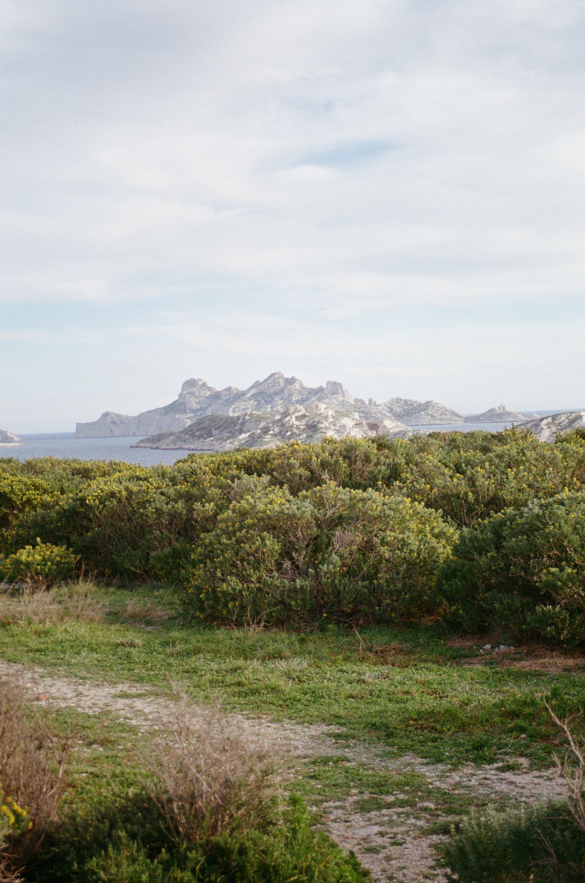 A rocky coastal island rises in the distance beyond dense green shrubs and a grassy path under a cloudy blue sky.