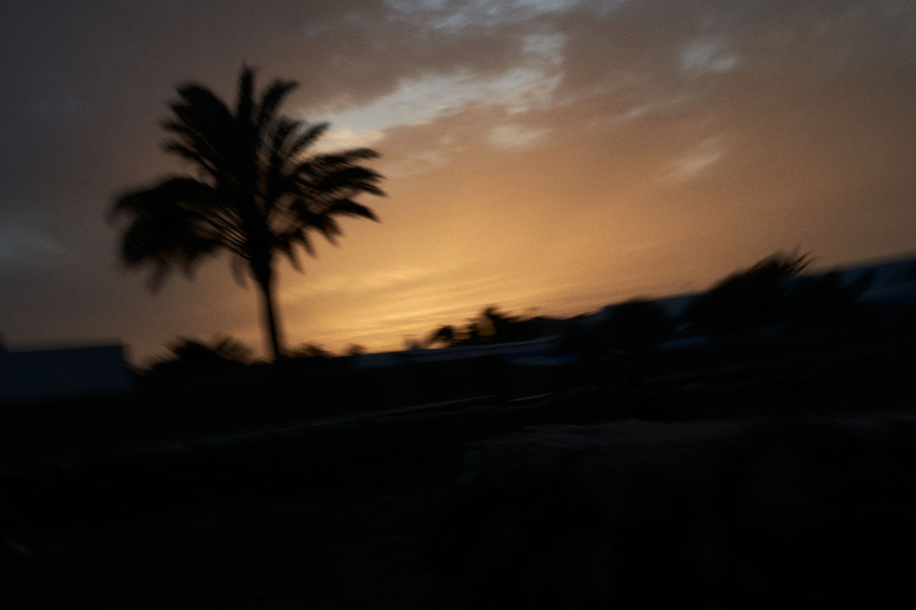 A silhouetted palm tree stands against a blurred sunset sky, with the horizon glowing orange and dark land features in the foreground.