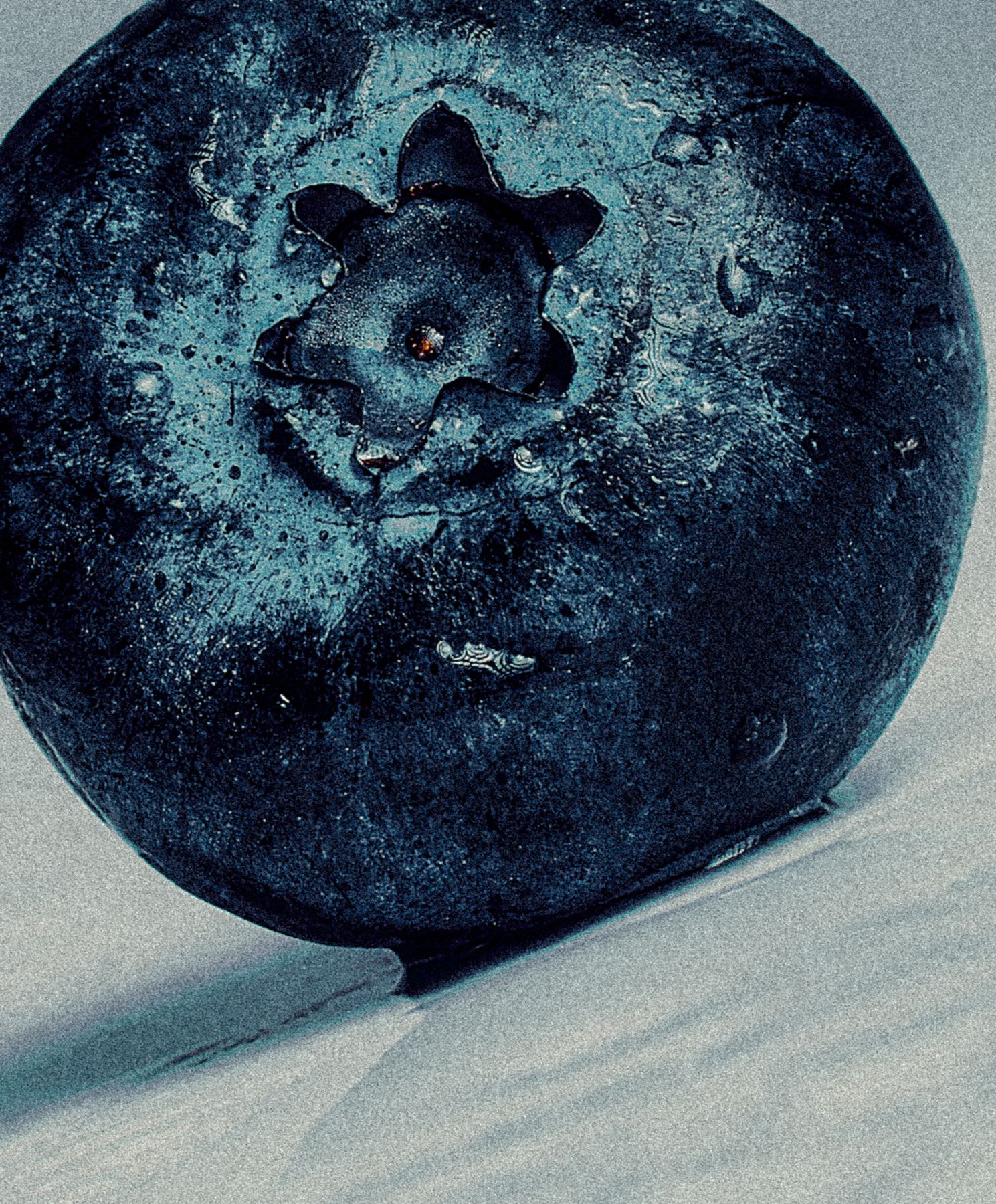A moody and detailed macro photograph captures a single wet blueberry against a plain background.
