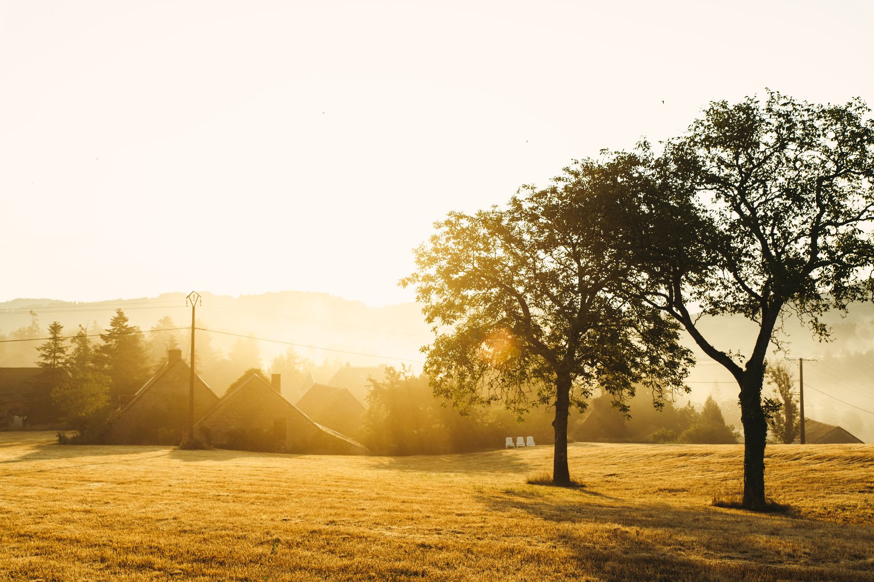 the sun shines through a small town and two trees in the brown field