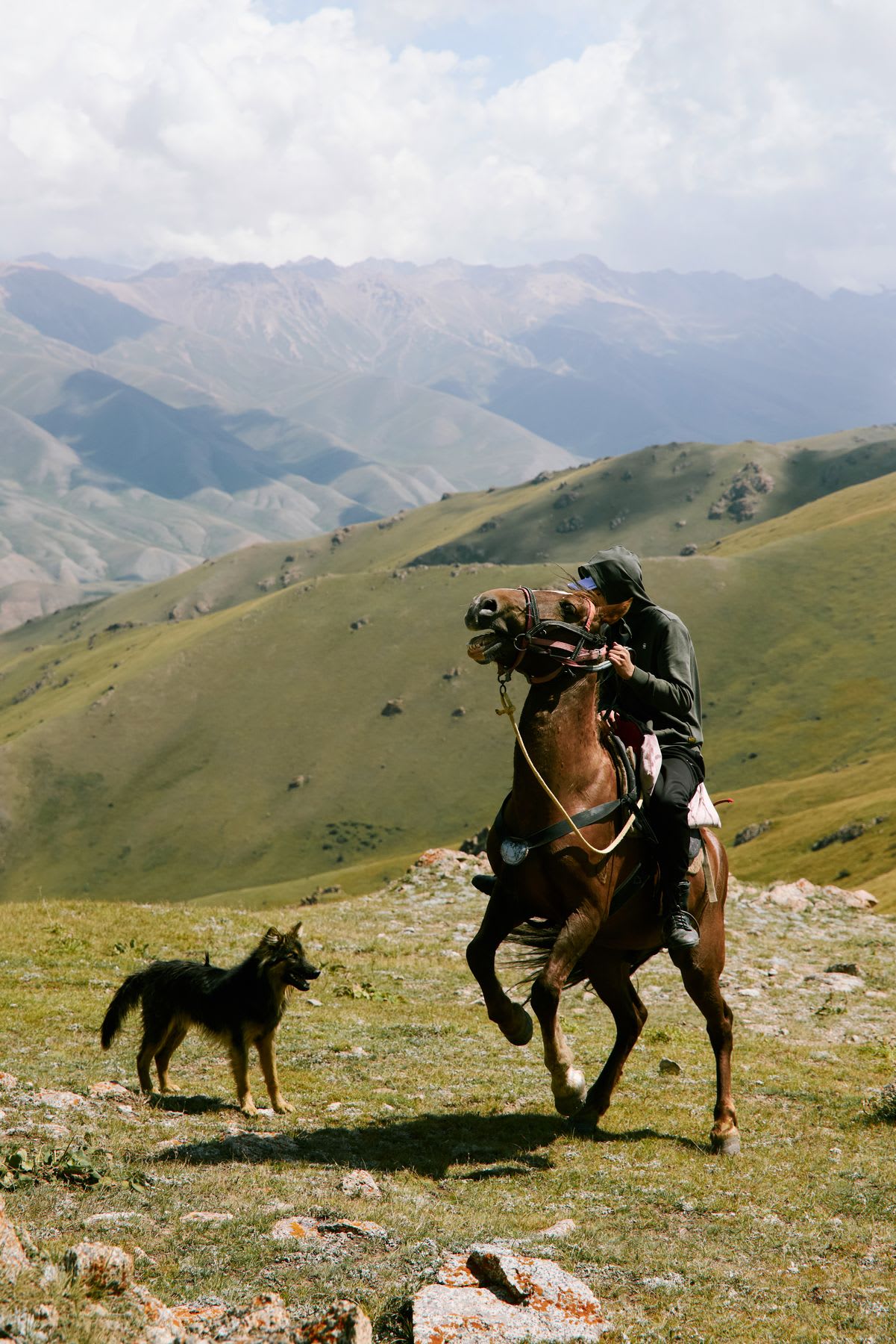 A man rides a rearing brown horse on a grassy mountainside, with a dog watching attentively against a backdrop of distant peaks.