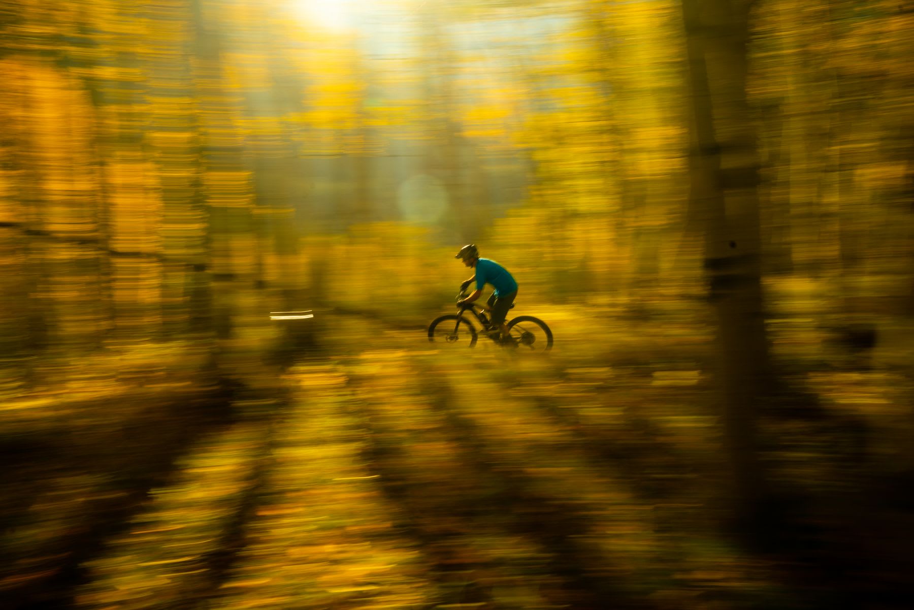 A cyclist rides through a golden, blurred forest during sunrise or sunset.