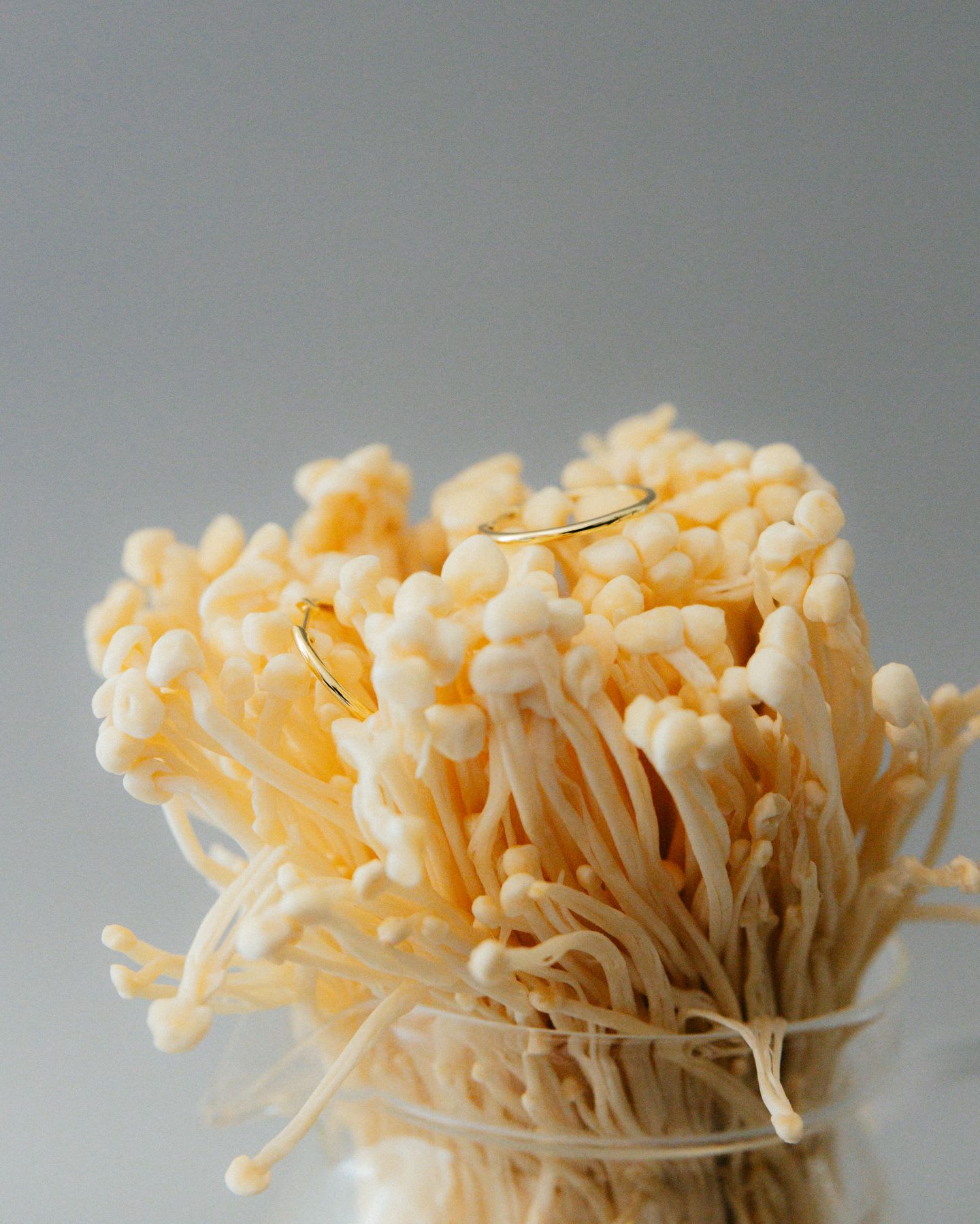 A bunch of Enoki mushrooms are standing in a clear jar.