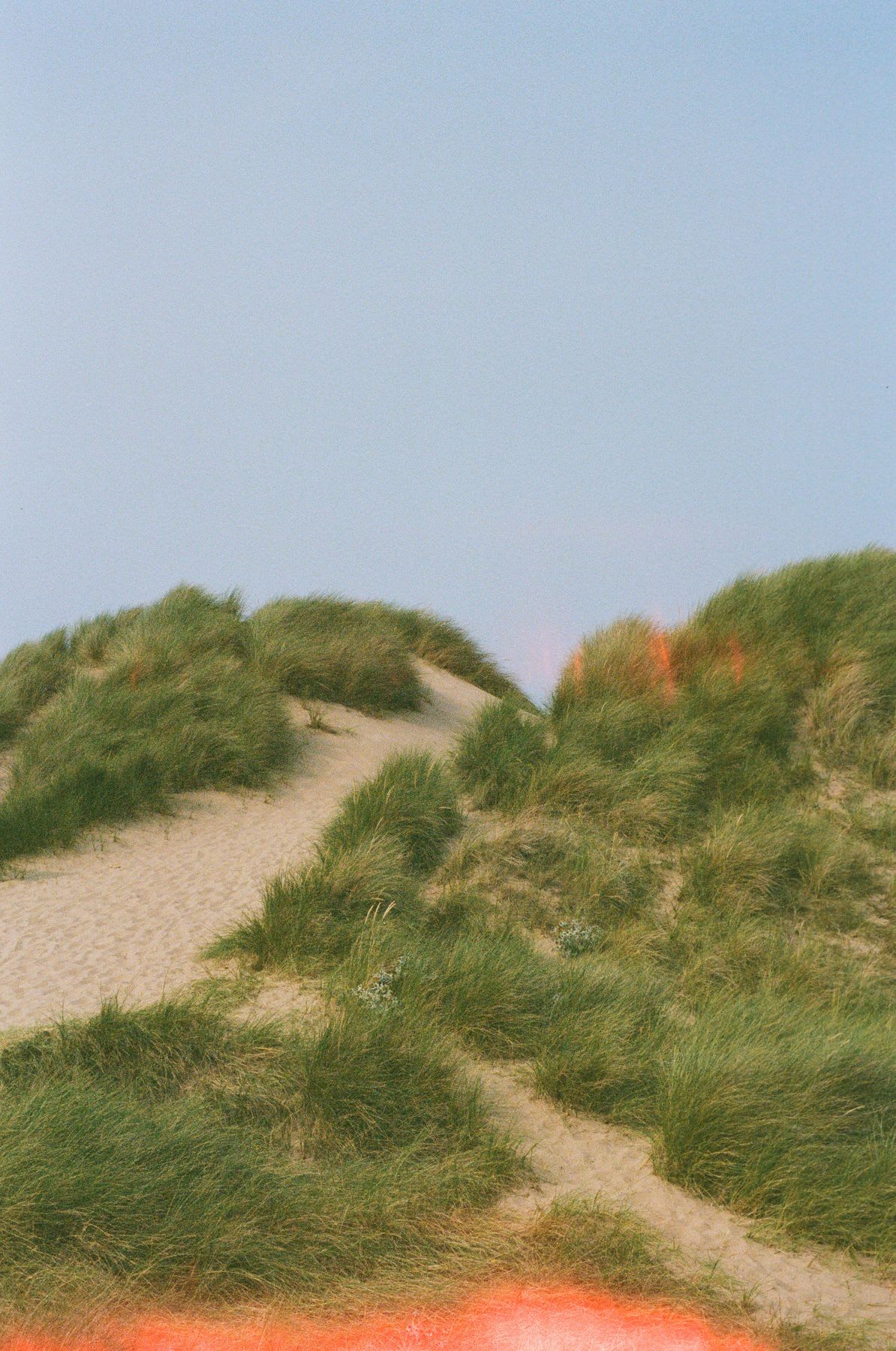 A serene view of sandy dunes covered in lush green grass under a clear sky.