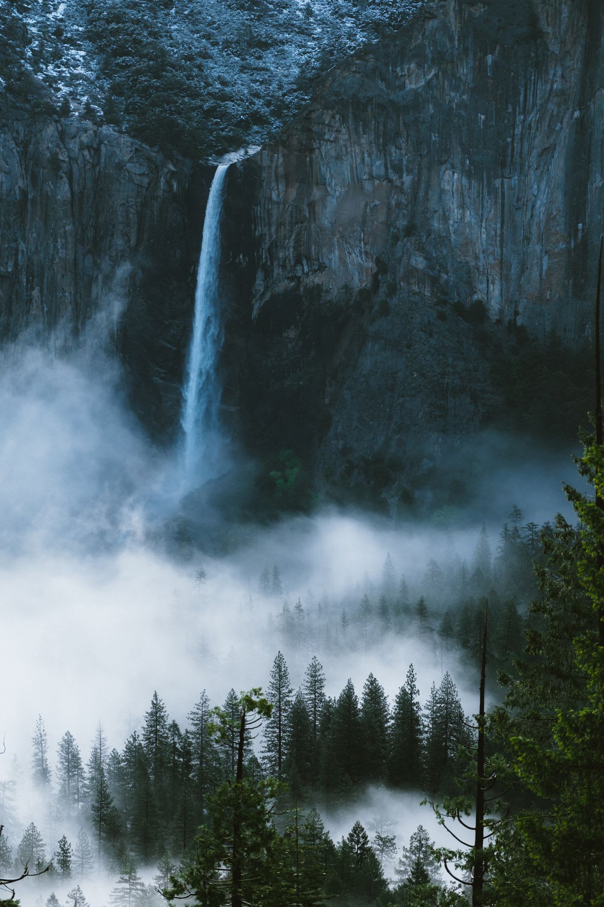 A powerful waterfall cascades down a sheer rock face into a valley of pine trees covered in thick, low-lying fog.