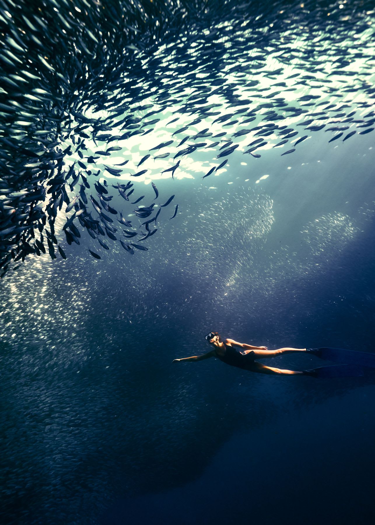 A woman swimming underneath a large school of fish.
