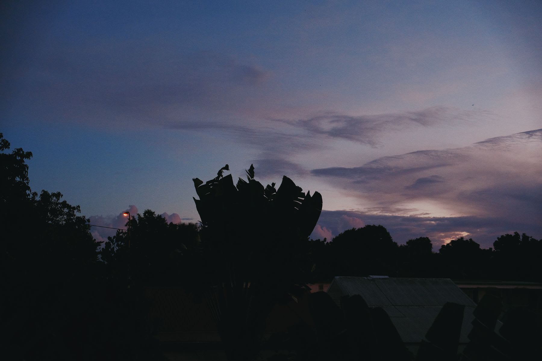 a silhouette of a tree against a dramatic sky with hues of purple and pink, suggesting dusk or dawn.