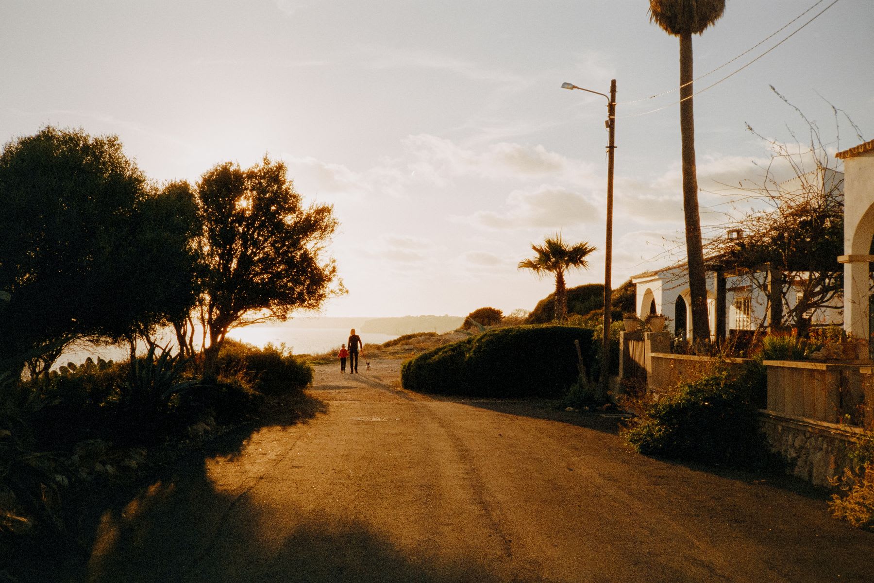 A person and a child walk their dog down a coastal road towards the sea during a warm, golden sunset.
