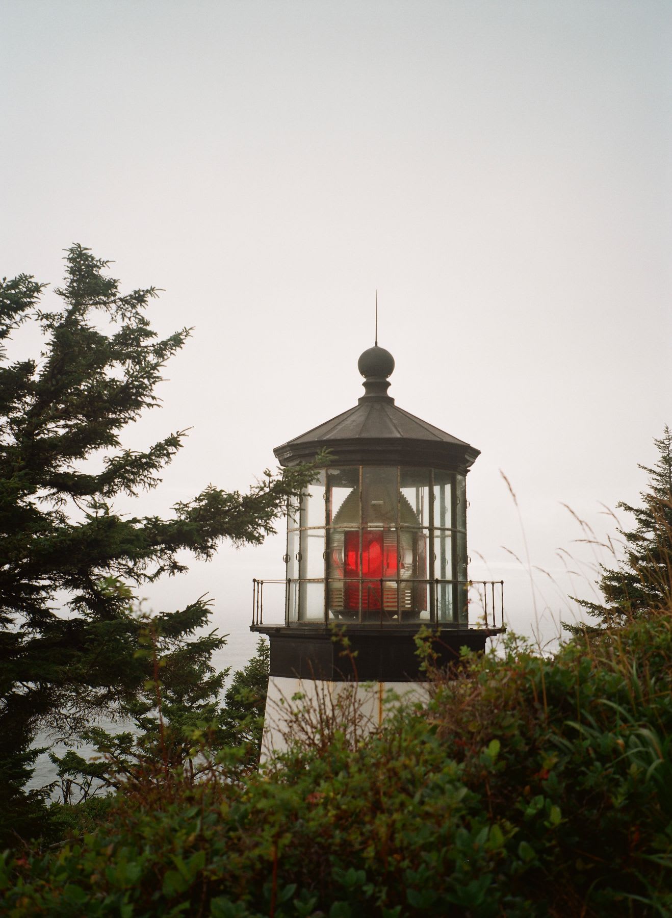The glowing red beacon of a coastal lighthouse shines through the misty air, surrounded by evergreen trees.