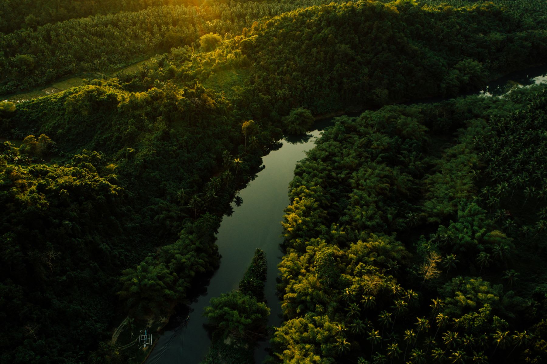 Aerial of a river running through a tropical forest at sunset.