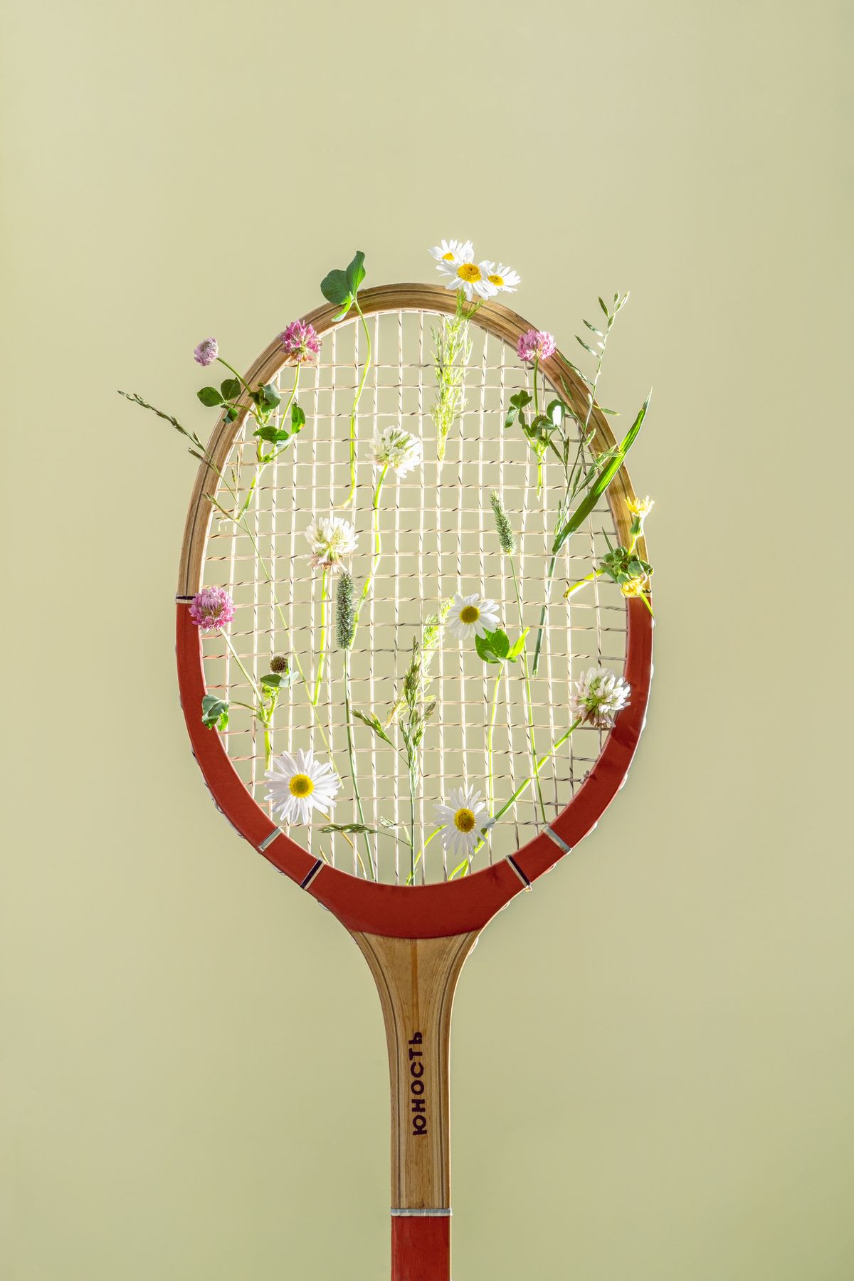 Small flower plants hanging on a tennis racket against a green wall.