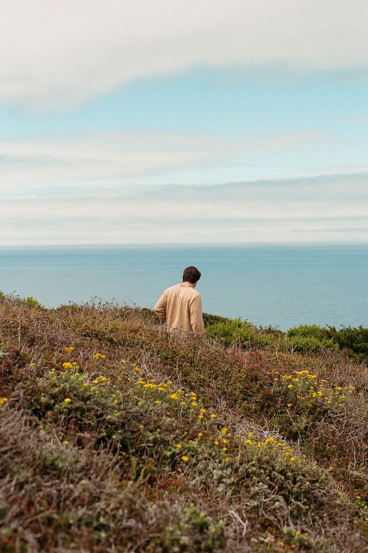 A person walking on a lawn and in the background there is the ocean