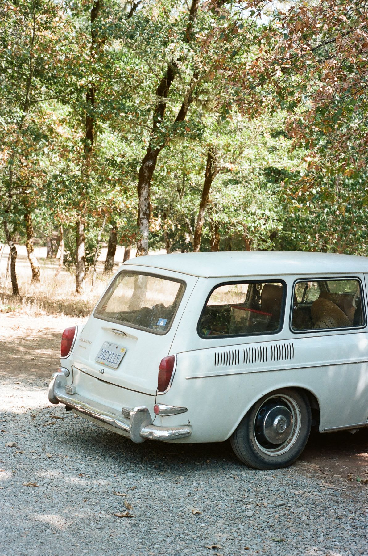 An old white station wagon parked in the shade of leafy green trees on a sunny day.