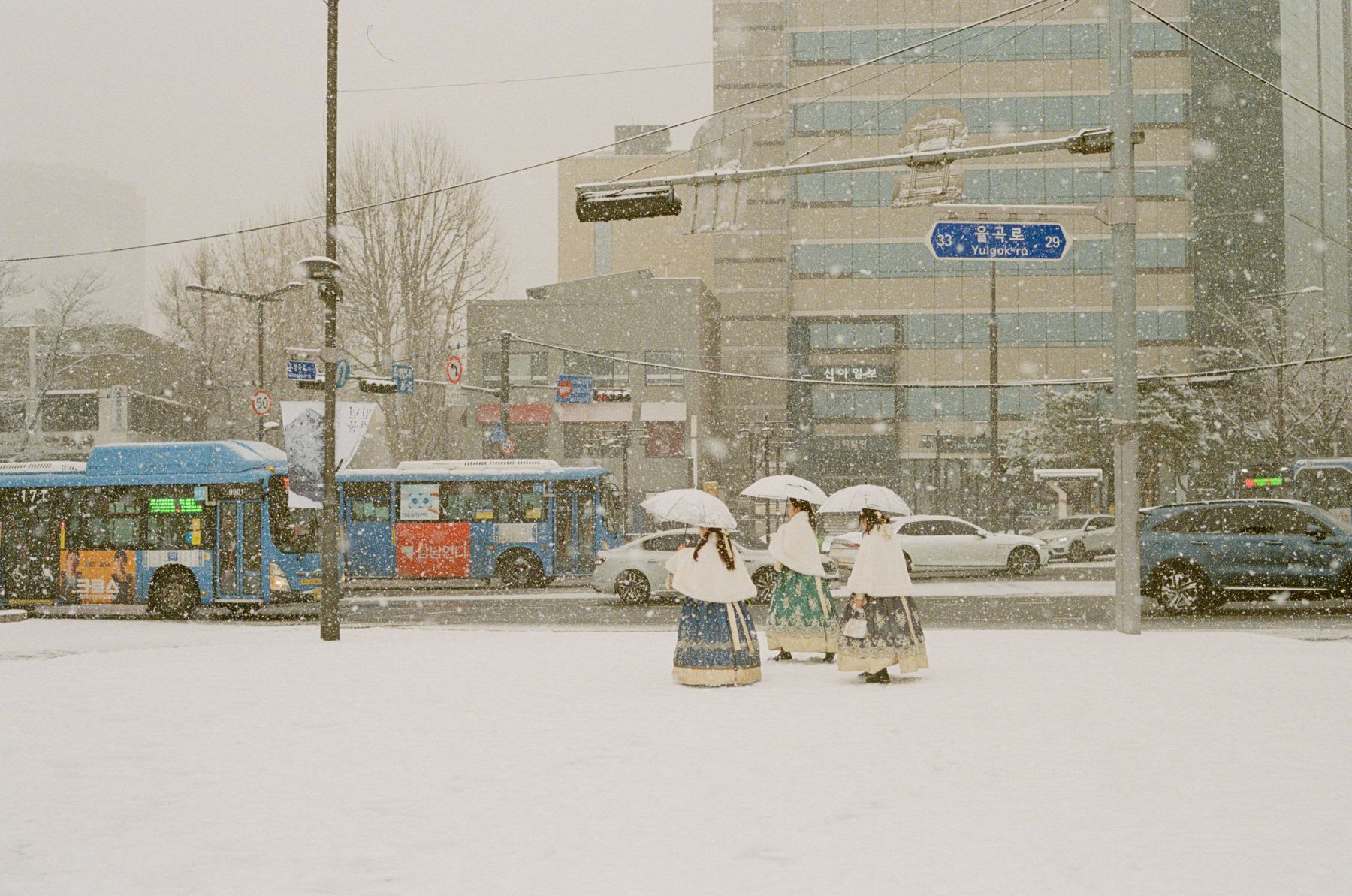 Three people with big skirts and are using umbrellas walking on a snowy path in a city and there are several vehicles on the street