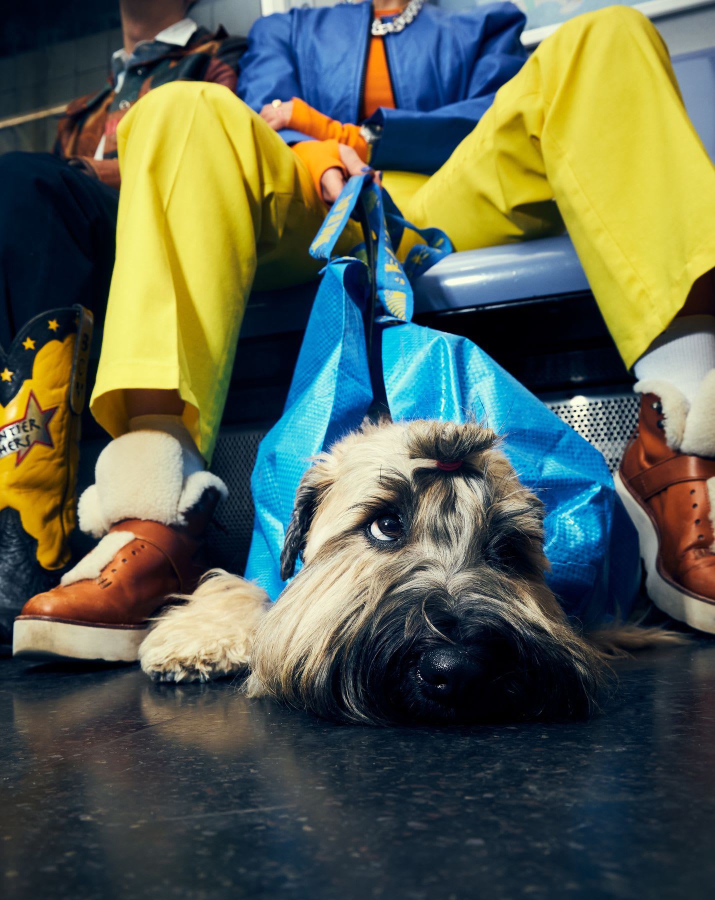 A dog rests on the floor of a subway car between the feet of a man wearing bright clothing.