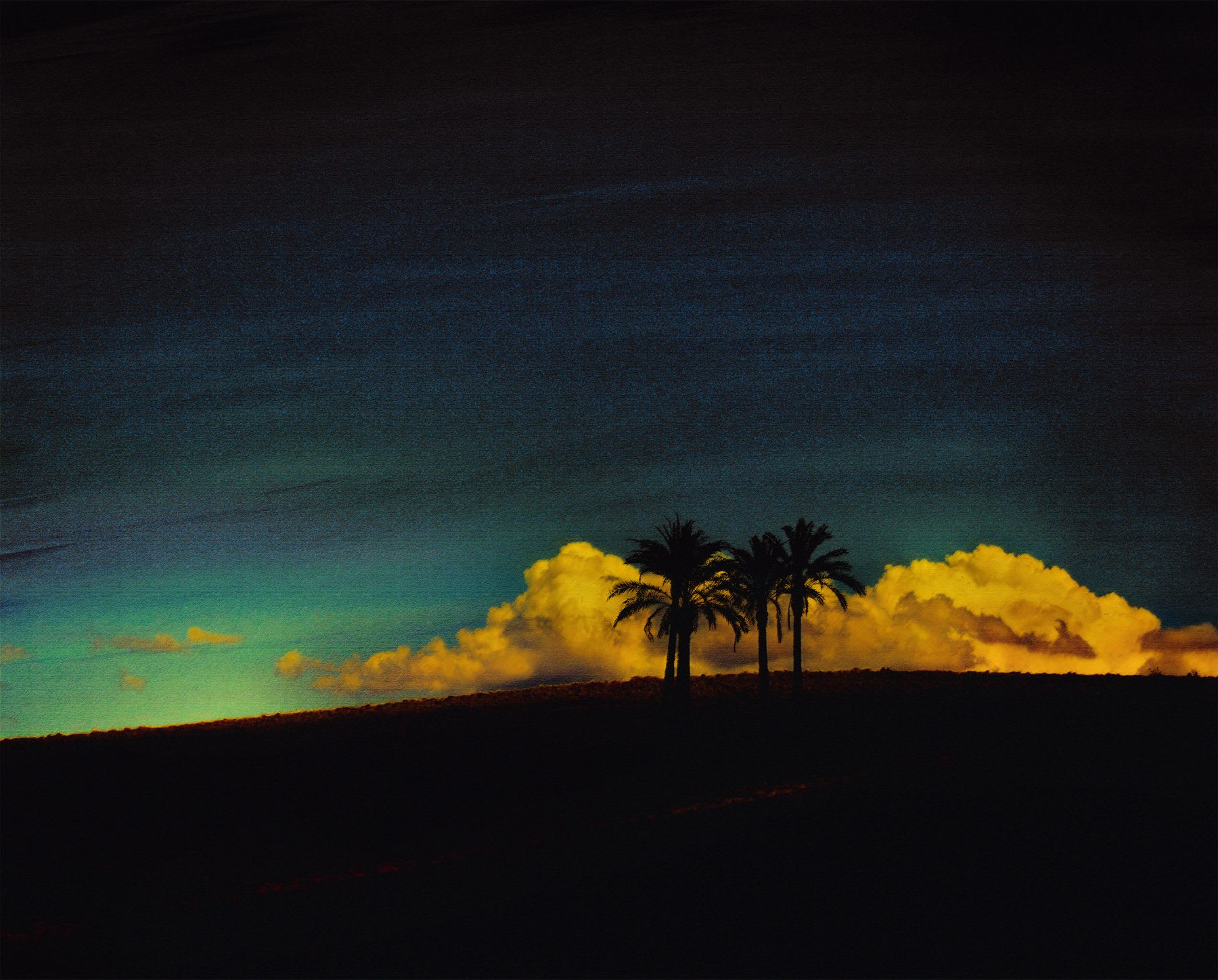 A trio of palm trees is silhouetted on a dark hill against a dramatic dusk sky with glowing golden clouds.